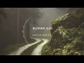 Angus Maude - Blonde Sun (Official Video)