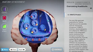 Anatomy of Movement Interactive 3D Exploration of Brain Pathways and Pharmacotherapy