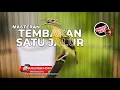 Download Lagu 🔴 Masteran Kolibri Manggar Betina Gacor Tembakan Necret Super Tajam❗️