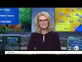 Hally Vogel 2024 ABC7