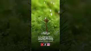 ماتيسر من سورة القصص الشيخ عبد السلام العابيدي 