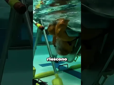 Tutti i piloti di aereo devono superare questo test!