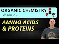 Amino Acids Proteins Organic Chemistry 25