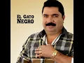 A Mi Amor Nunca Le Temas- El Gato Negro