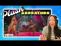 How is this possible Plush - Barracuda Reaction