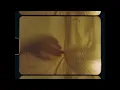 Laufey - Fragile (Official Audio)