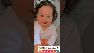 الجمال عدى الكلام 