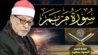 الشيخ السيد سعيد ما تيسر من سورة مريم بث مباشر قران كريم جودة عالية ᴴᴰ 