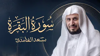 سورة البقرة بصوت القارئ الشيخ سعد الغامدي                 دندنها