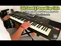 Download Lagu Cek Sound Pake Orgen Roland E-38 Sampling ORG  || Pengadilan Cinta