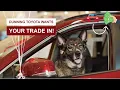 Get More for Your Trade-In at Dunning Toyota in Ann Arbor