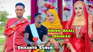dhaanto cusub xasan yare aamino new video hd 2026