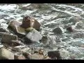 Hudson River Brickmakers 28 minute documentary