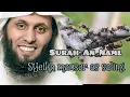 Download Lagu MUROTTAL ALQURAN MERDU SURAH AN NAML || SYEIKH MANSUR AS SALIMI