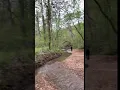 Land for Sale Beaver Ohio in Pike County 180 acres with woods Swift Creek and trails