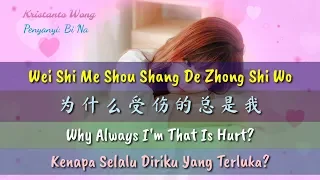 Download Wei Shi Me Shou Shang De Zhong Shi Wo - 为什么受伤的总是我 - Bi Na - 碧娜 MP3