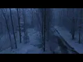 Snow storm Blairsville Georgia