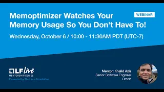 Mentorship Session Memoptimizer Watches Your Memory Usage So You Don t Have To