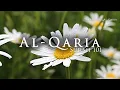 Download Lagu Surah Al Qaria القارعة - Al Quran 101 | Abdul Rahman Al Sudais | عبد الرحمن السدیس