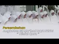 Download Lagu Persembahan Angkatan 59 Ma'had DQH NWDI \