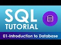 01 - Introduction To Database