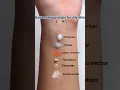 Basic makeup routine for oily skin