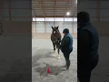 Cheery Acres January 2023 Showmanship Brandi Sturdivant Kupid Shuffle