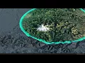 Mt Rainier texture animation using Unity3d and Mapbox