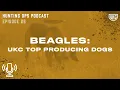 UKC Hunting Ops Podcast Ep 26 - Beagles UKC Top Producing Dogs