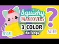Squishy Makeover 3 Color Challenge