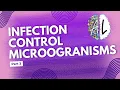 Microorganisms Infection Bacteria Viruses Fungi Parasites Explained