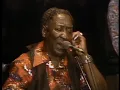 Muddy Waters - They Call Me Muddy Waters - ChicagoFest 1981
