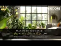 Transform Your Space Seasonal Decor Tips for a Smooth Winter-to-Spring Transition