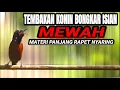 Lagu TEMBAKAN BURUNG KONIN FULL ISIAN MEWAH AMPUH BUAT MASTERAN KOLIBRI NINJA