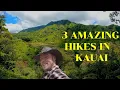 The best free hikes Kauai Hawaii for whale watching mountains and waterfall swimming hiking trails