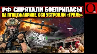Птицефабрика с сюрпризом: российский арсенал накрыли ССО