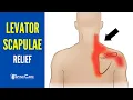 How to INSTANTLY Relieve Levator Scapulae Pain