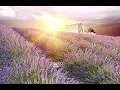 Download Lagu GOOD MORNING MUSIC | Boost Positive Energy | 528Hz  Wake Up Music - A Beautiful Day  - A Magical day
