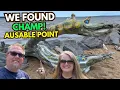 Ausable Point DEC Campground - We found Champ