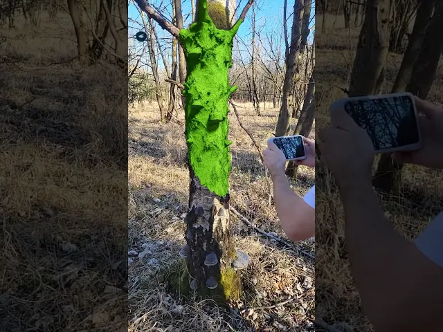 Tree trunk vase “Betula Pendula” video thumbnail