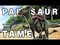 How to TAME a Parasaur Ark