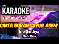 Download Lagu CINTA BUKAN SAYUR ASEM - Ine Sinthya | Karaoke dut band mix nada pria | Lirik