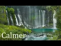 Download Lagu L'agitation Constante - Une Musique Relaxante pour Apaiser L'angoisse et Rassurer L’esprit v2