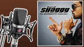 Download Boombastic - Shaggy | Only Vocals (Isolated Acapella) MP3