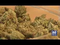 West Springfield Town Council approves retail sale of recreational cannabis