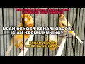 Download Lagu Kenari Gacor !!! Isian Kecial kuning - Animal Zone Lombok #kenarigacor