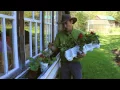 Planting a Gorgeous Window Box - Jack Barnwell Mackinac Island