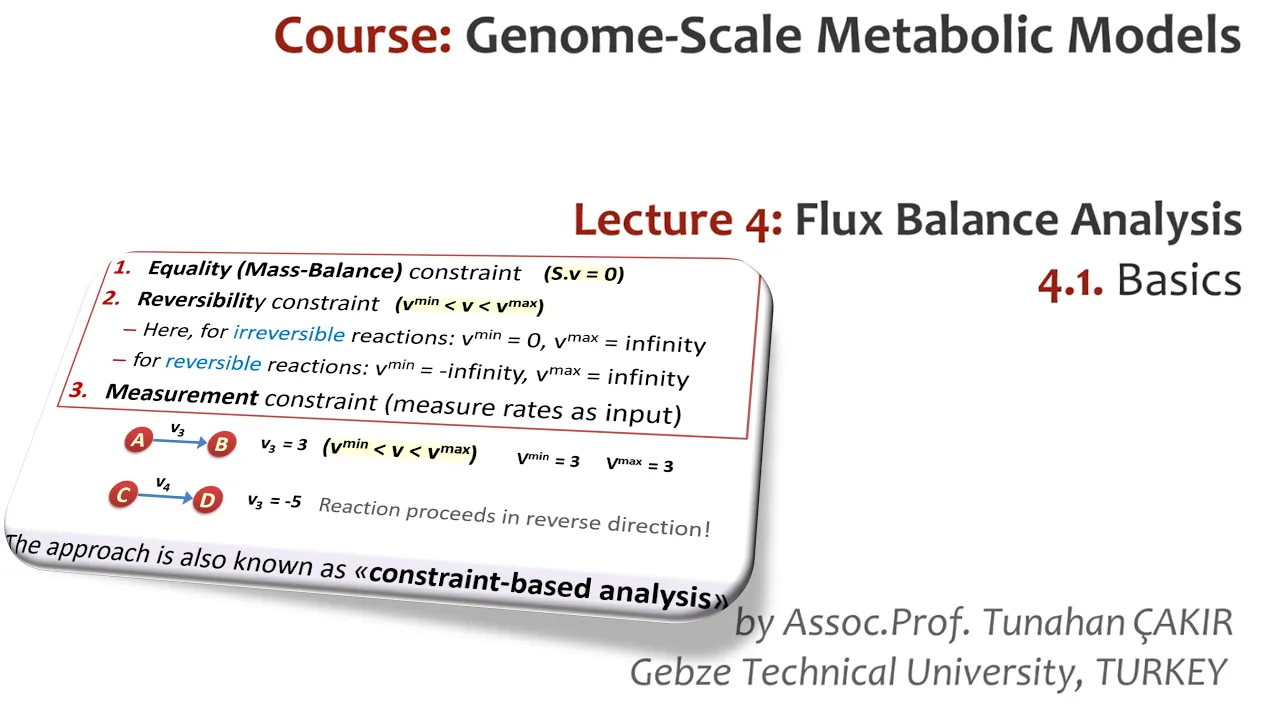 Lecture 4.1 - Basics of Flux Balance Analysis | Genome Scale Metabolic Models