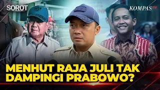 Menhut Raja Juli Tak Dampingi Prabowo Cek Karhutla, Istana Jawab Begini