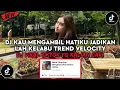 Download Lagu DJ KAU MENGAMBIL HATIKU JADIKAN LAH KELABU TREND VELOCITY | DJ BENCI UTOPIA VIRAL TIKTOK 2025
